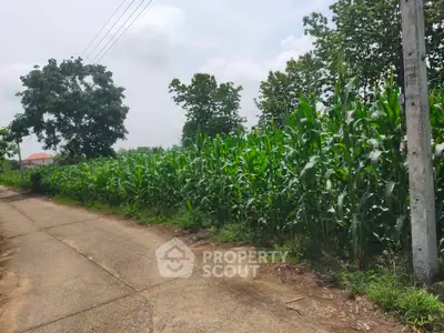 Scenic rural land with lush greenery and clear pathway, perfect for agricultural development.