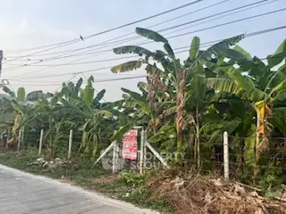 image_rental-22203641