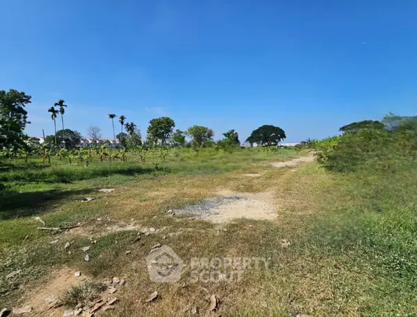 image_rental-30605282