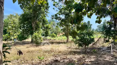 Scenic view of lush green land with trees and mountains, perfect for real estate development.
