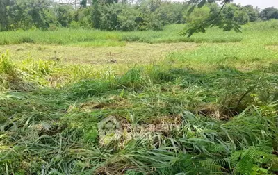 image_rental-31084691