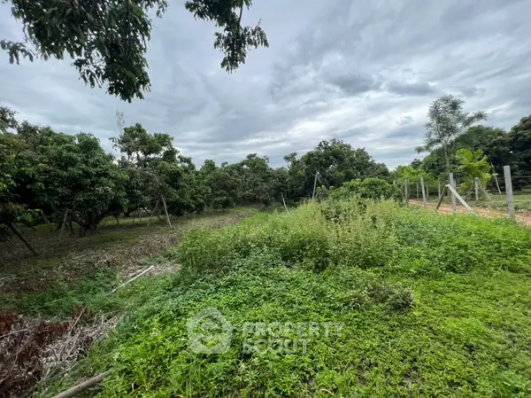 image_rental-13064107