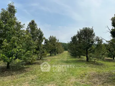 image_rental-36096972