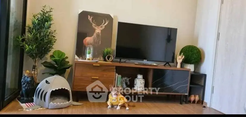 Stylish living room with modern TV stand, decorative plants, and unique pet bed.