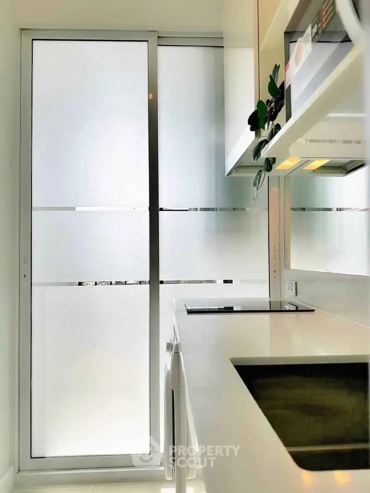 Modern kitchen with sleek white cabinetry and frosted glass door, featuring built-in appliances.