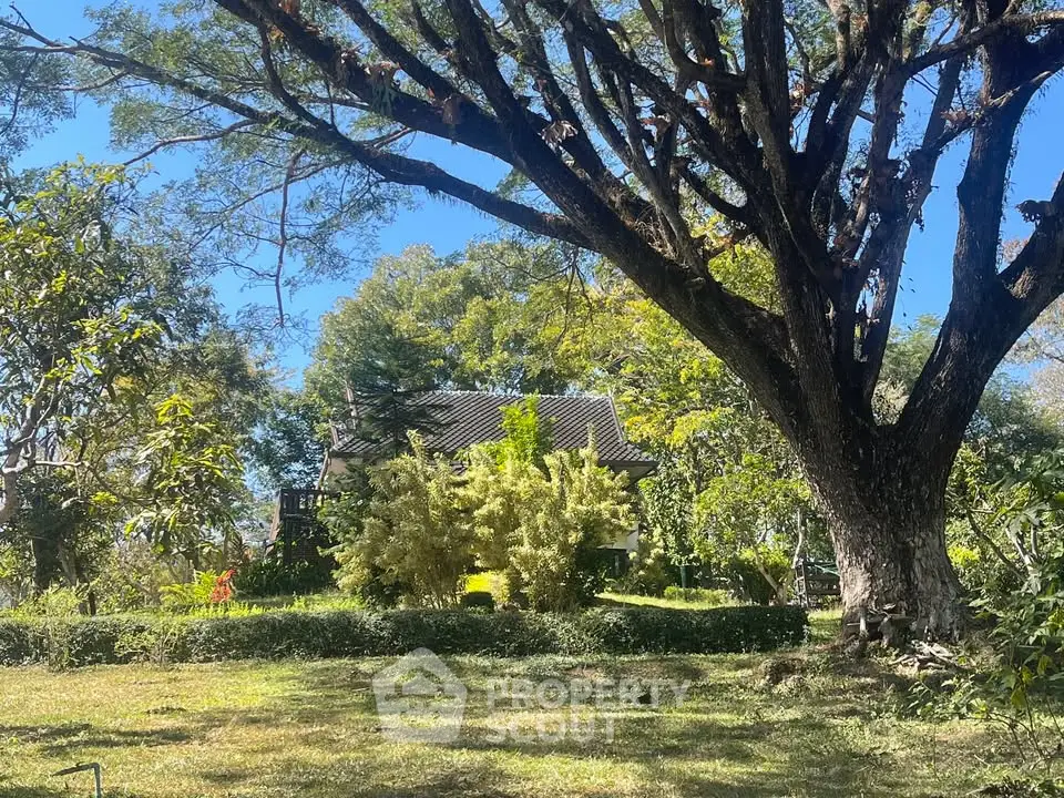 Charming countryside house surrounded by lush greenery and mature trees, offering serene and picturesque views.