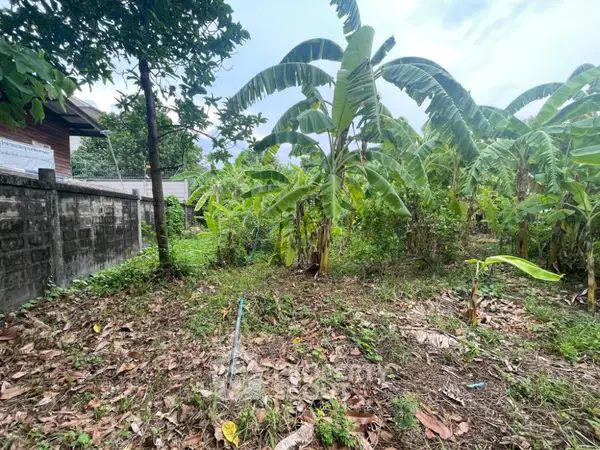 image_rental-17828907