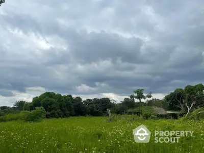 Expansive green field with lush trees under a dramatic cloudy sky, perfect for development.