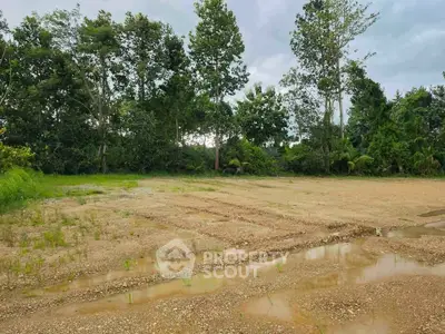 Spacious vacant land plot surrounded by lush greenery, ideal for development opportunities.