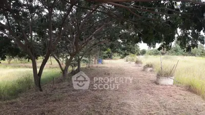 image_rental-22576406