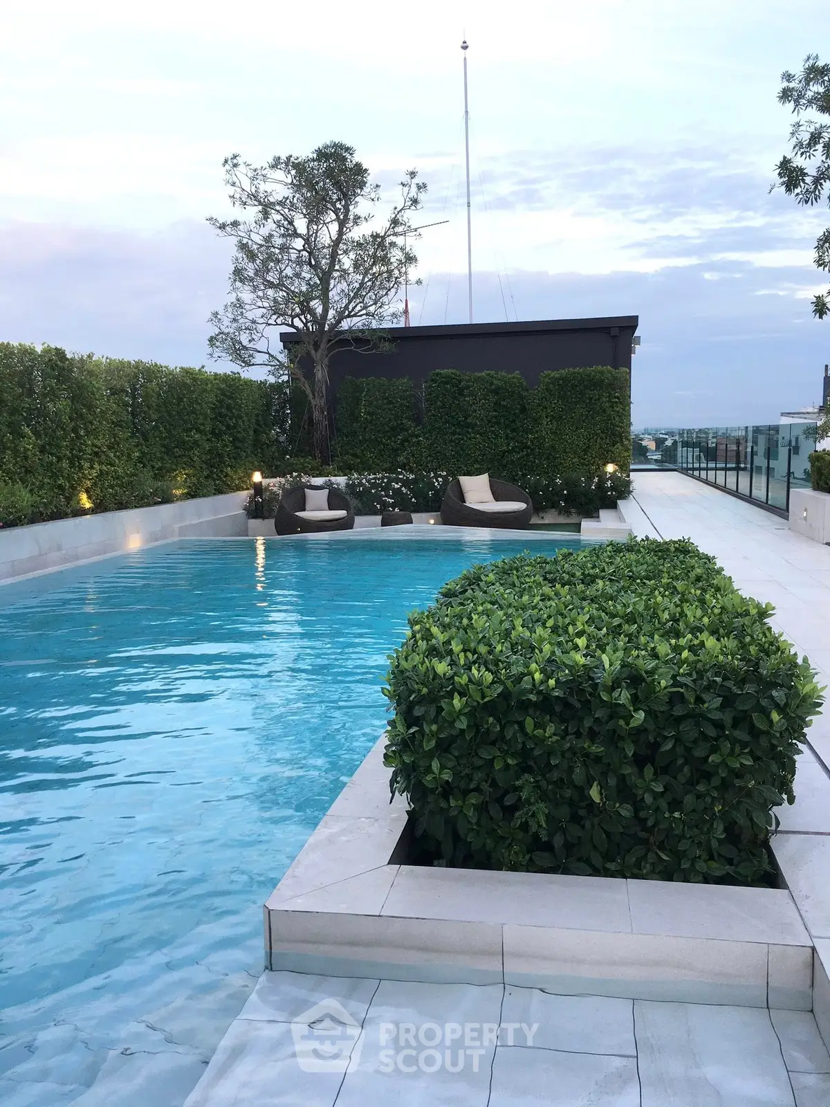 Luxurious rooftop pool with lush greenery and modern design