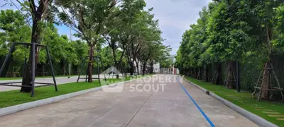 Serene tree-lined driveway leading to a modern residential complex