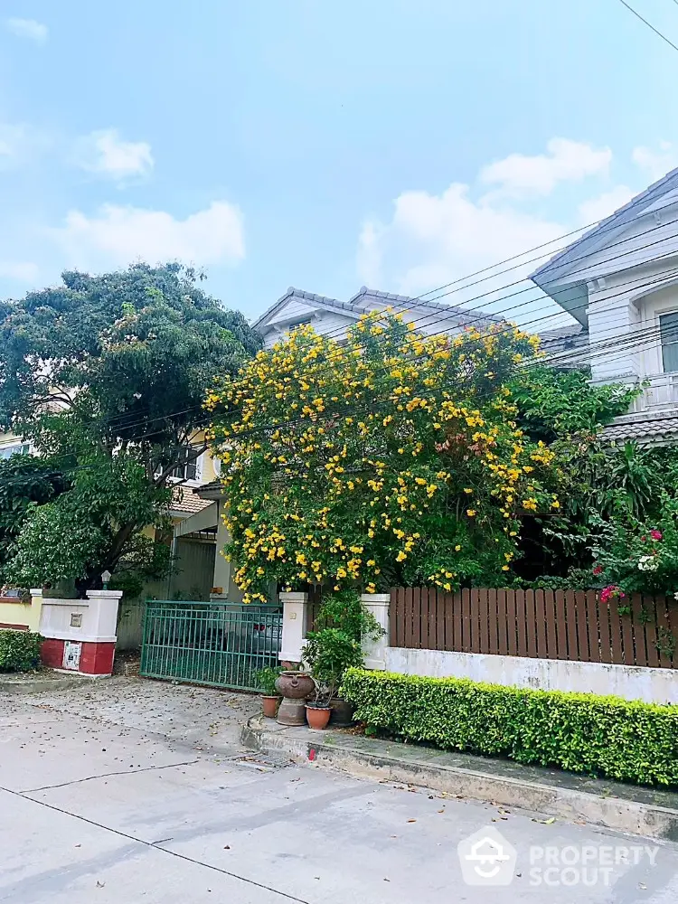 Charming family home with lush garden and vibrant yellow blooms, nestled in a serene neighborhood, boasting a welcoming facade and greenery.