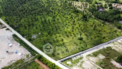 Expansive aerial view of lush green land ideal for development or agriculture, surrounded by scenic natural beauty.