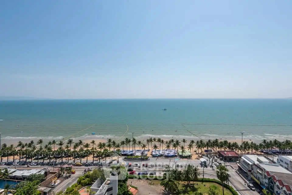 Stunning beachfront view from high-rise property overlooking ocean and palm-lined shore.