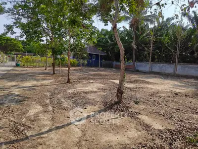 Spacious plot of land with trees, ideal for development in a serene environment.
