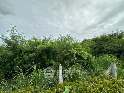 Lush green land plot with dense vegetation, ideal for development or investment opportunities.