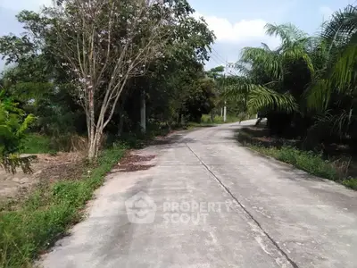 Scenic rural road surrounded by lush greenery and trees