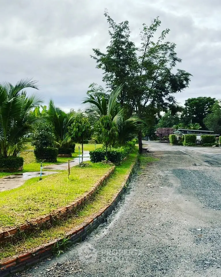 Charming suburban street with lush greenery and serene atmosphere, perfect for peaceful living.