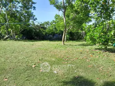 Spacious green garden with lush trees and clear blue sky, perfect for outdoor activities.