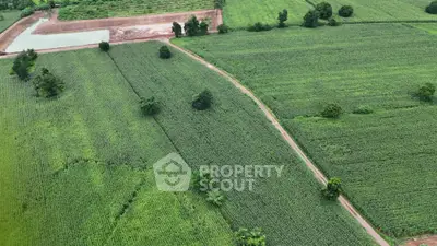 Expansive aerial view of lush green farmland with a winding path and small water body, ideal for agricultural investment.
