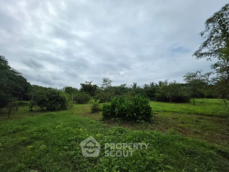 Expansive lush green garden with trees under a cloudy sky, perfect for nature lovers.