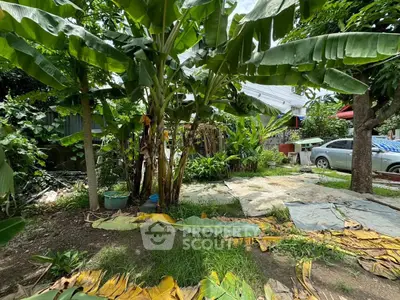Lush garden with banana trees and parked car in residential area