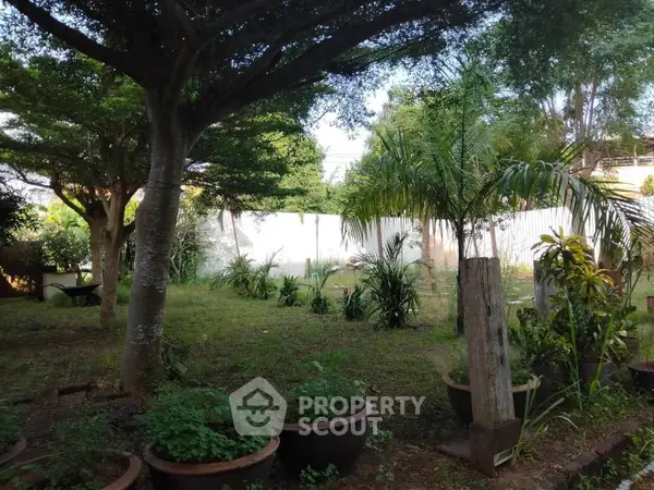 image_rental-20350214