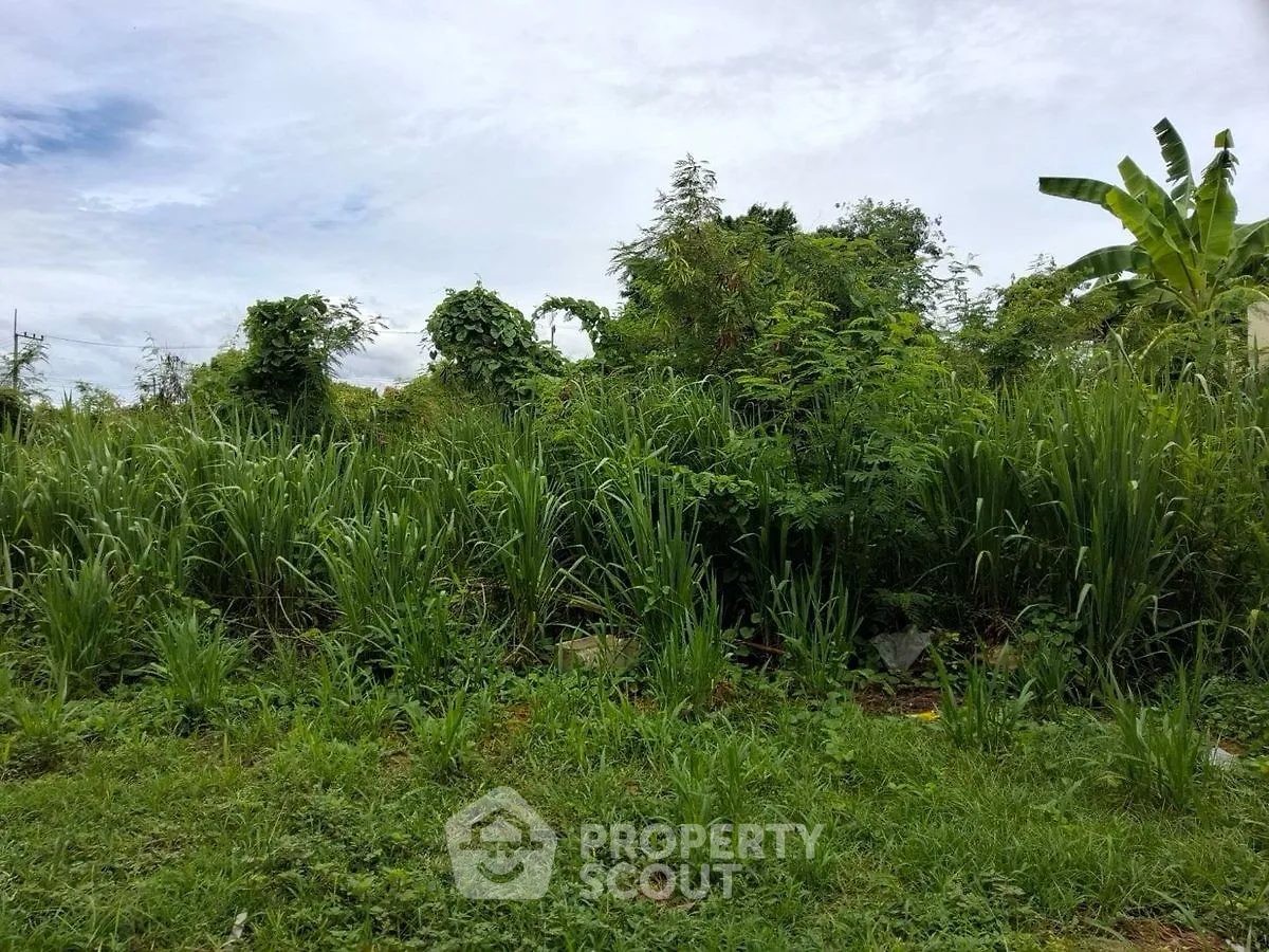 Lush green vacant land with potential for development under a clear sky.