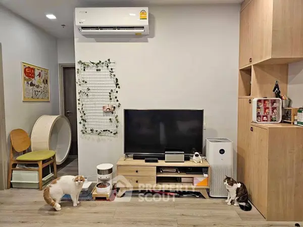 image_rental-30918567