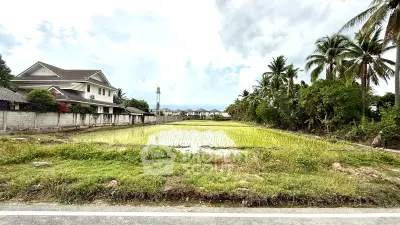 Scenic view of suburban houses with lush greenery and rice field, perfect for tranquil living.