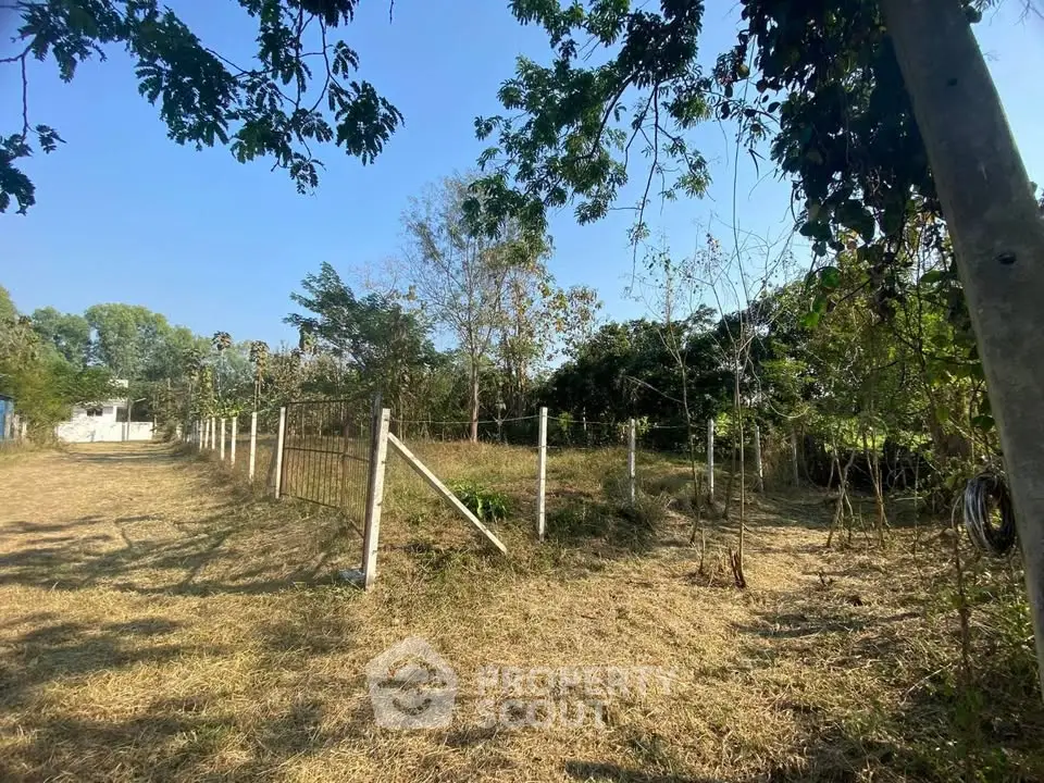 Spacious fenced land plot with lush greenery and clear blue sky, perfect for development.