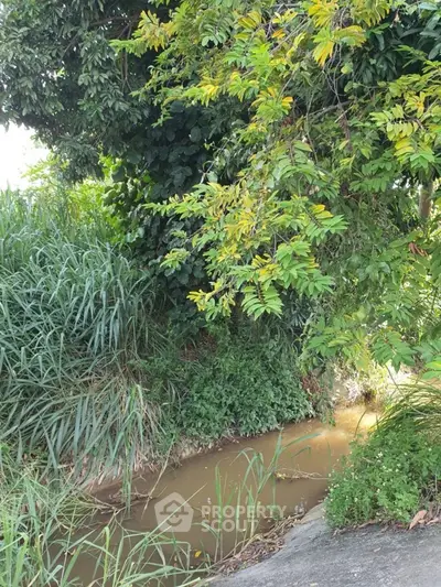 image_rental-27144642