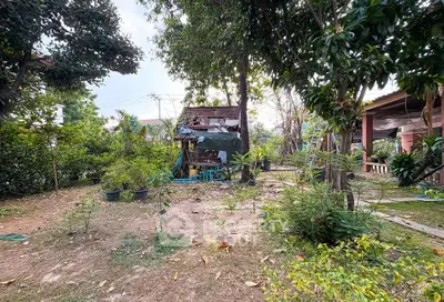 Charming garden view with lush greenery and rustic outdoor structure, perfect for nature lovers seeking tranquility.
