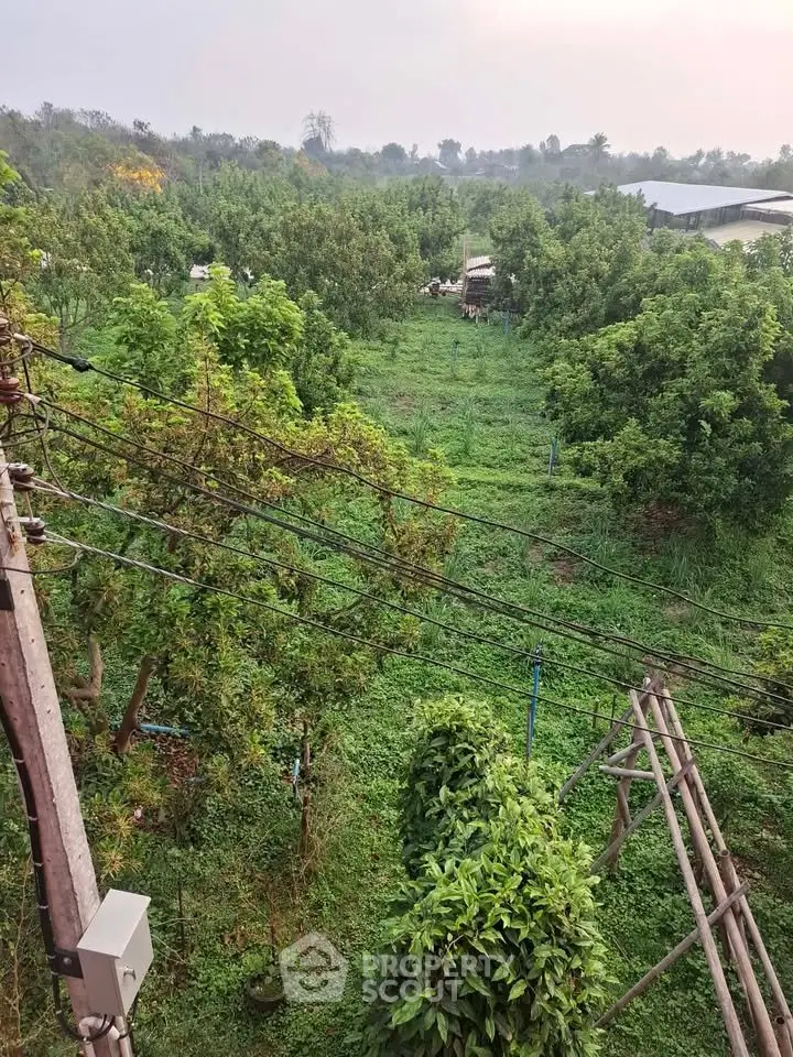 Expansive green landscape view from a high vantage point, showcasing lush vegetation and serene surroundings.