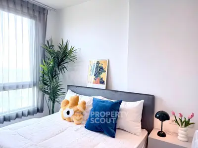 image_rental-31498762