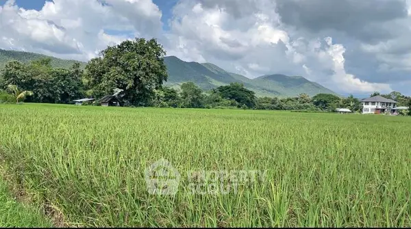 image_rental-31506531