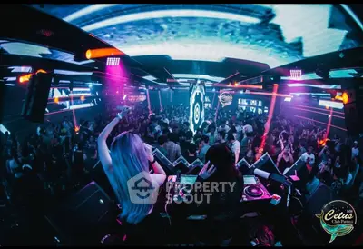 image_rental-31838041