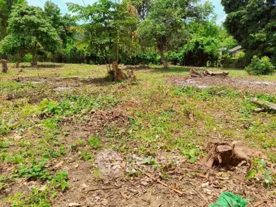 Spacious plot of land with lush greenery, ideal for development or investment opportunities.