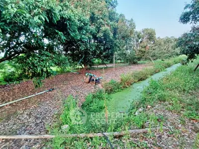 image_rental-27754548