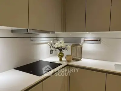 Modern kitchen with sleek cabinets and induction cooktop