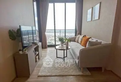 image_rental-31293591