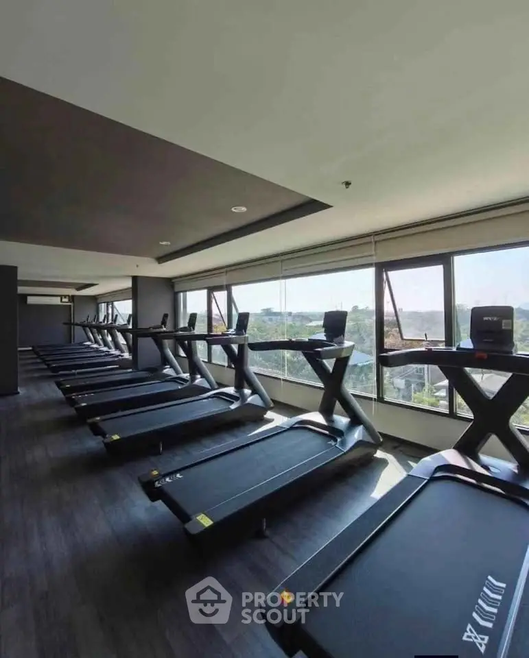 Modern gym with multiple treadmills and large windows offering scenic views.