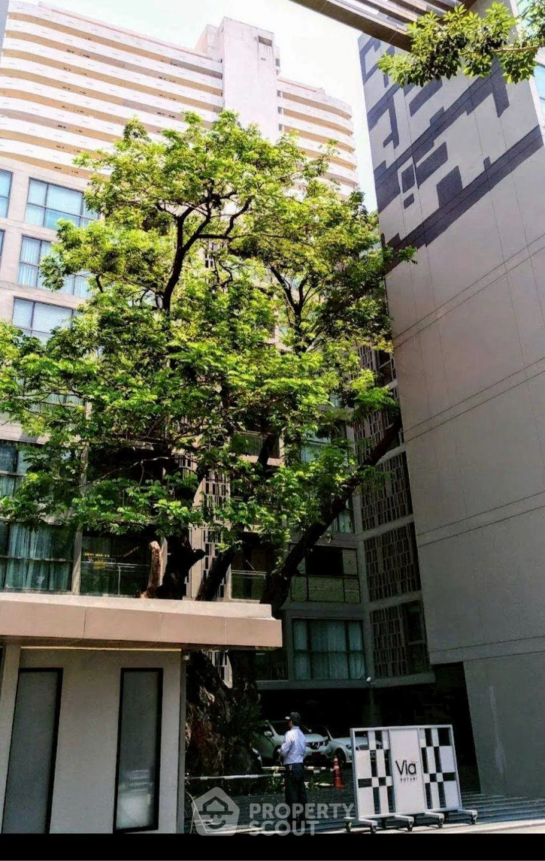 Modern building exterior with lush tree in urban courtyard
