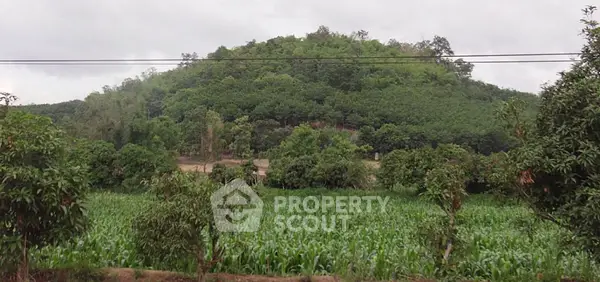 image_rental-25853793