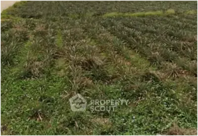 Screenshot 2025-12-14 013739.png