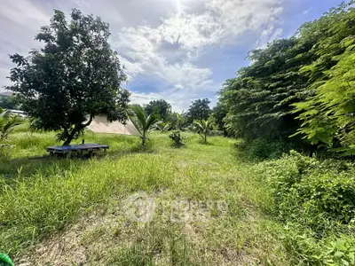 image_rental-28281566