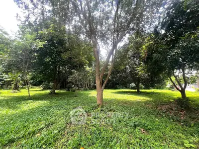 Lush green garden with mature trees offering serene natural ambiance.