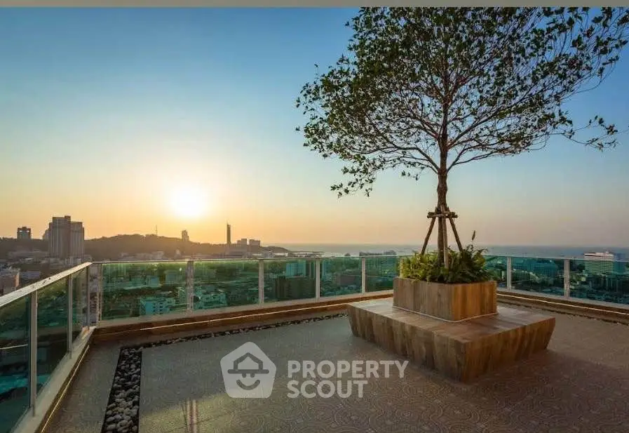 Stunning rooftop view with sunset over cityscape and ocean, featuring elegant tree planter.