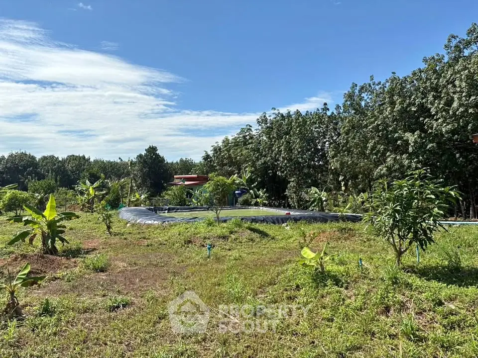 Expansive green land with lush trees and a small pond under a clear blue sky, perfect for development.